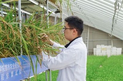 國際首次試驗成功，核心技術源自天府新區科技推廣與應用服務